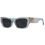 Transparent Light Blue Frame Gold Accent Fashion Sunglasses